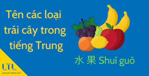 Tên các loại trái cây trong tiếng Trung Thumbnail